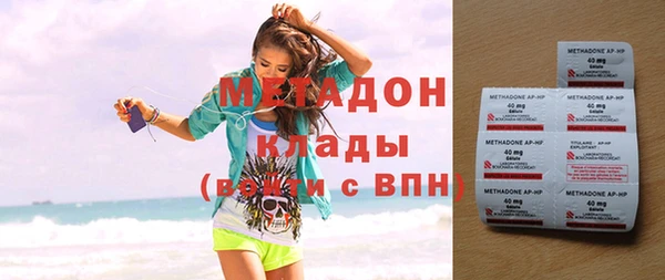прущие грибы Аркадак