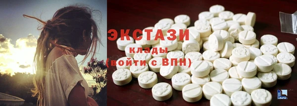 прущие грибы Аркадак