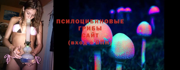прущие грибы Аркадак