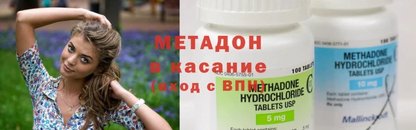 прущие грибы Аркадак