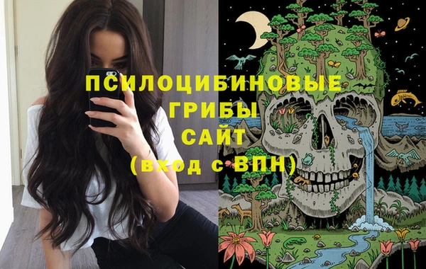 прущие грибы Аркадак
